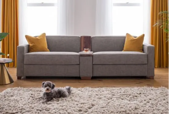Side by Side Twin Sofa Bed