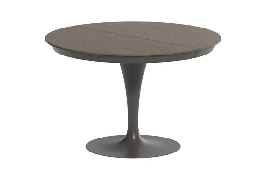 Eclipse Extending Table