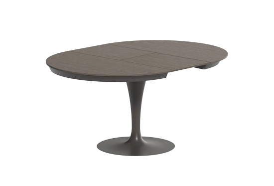 Eclipse Extending Table
