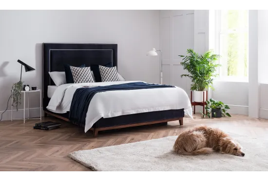 Illusion King Size Storage Bed Blue Velvet | Furl