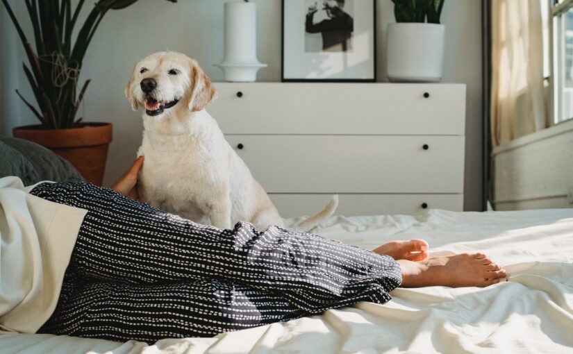 A guide to choosing the perfect spare room bed