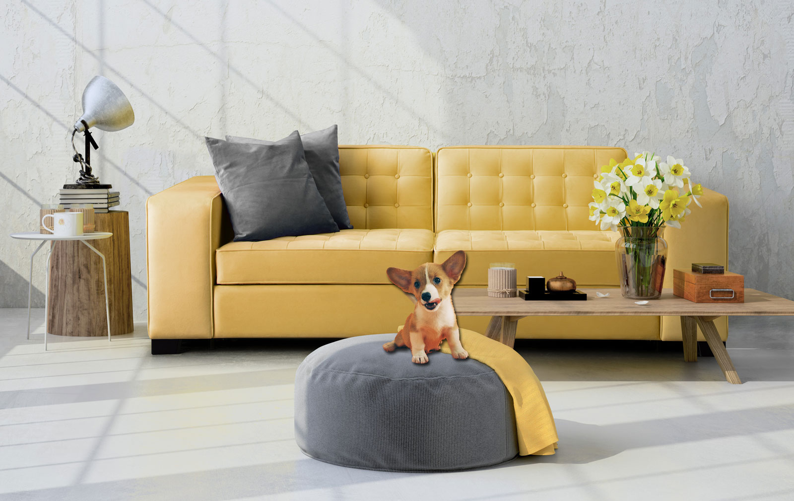 What Couch Material Is Best For Dogs