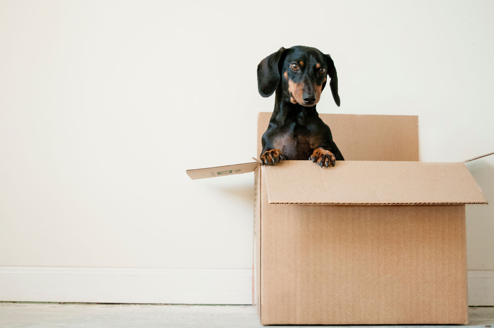 Guide to Downsizing, Downsizing your home, Downsizing, Downsizing houses, Downsizing to a flat, Older Couples Downsizing, Downsizing for over 60s
