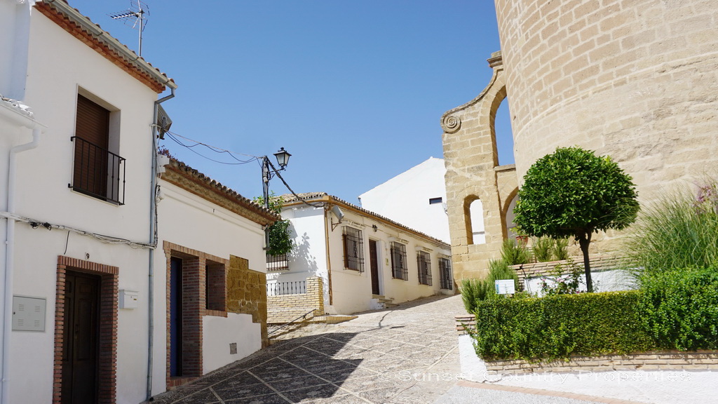 Image alt