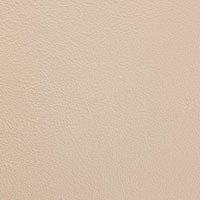 Cream Color Tag