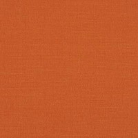 Orange Color Tag