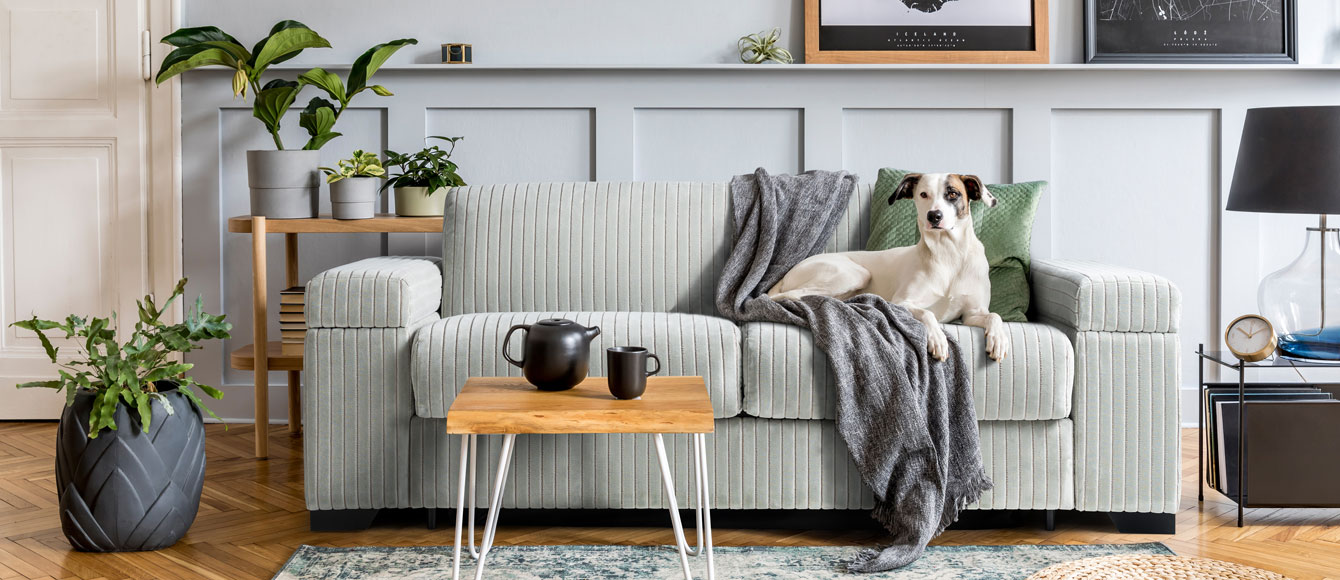 <h2>Sofa Beds designed to be used everyday<span>As comfy as your main bed</span></h2>