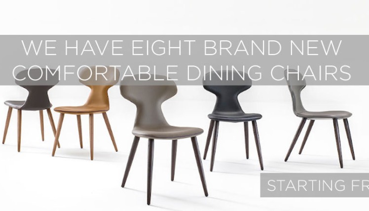 Sophisticated and Comfortable Dining Chairs
