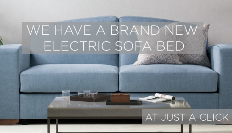 We have a brand new Electric Sofa Bed