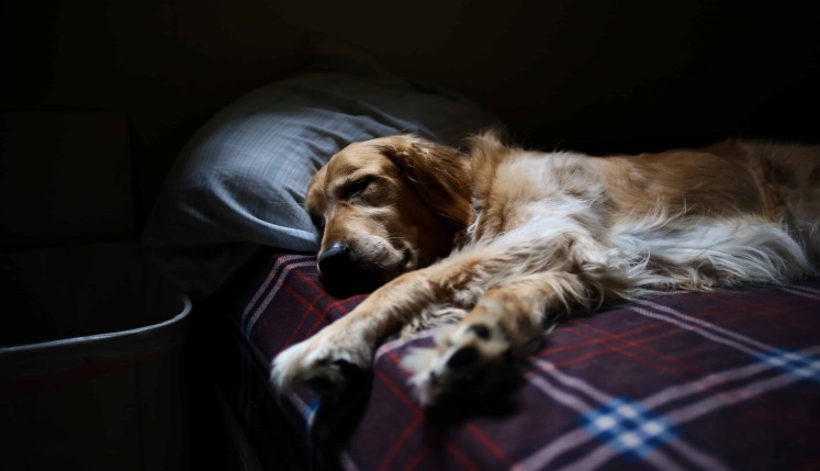 Tips for getting a good nights sleep