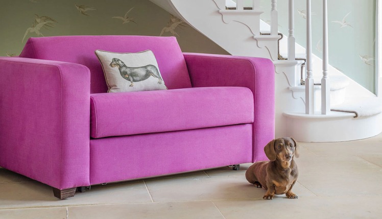 Choosing the right fabric for pets