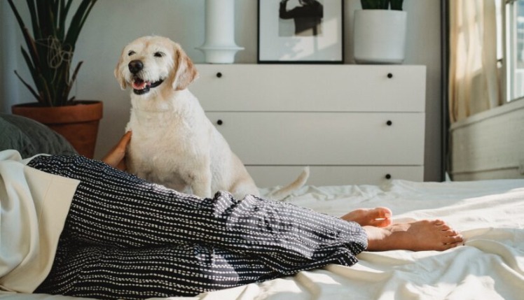 A guide to choosing the perfect spare room bed